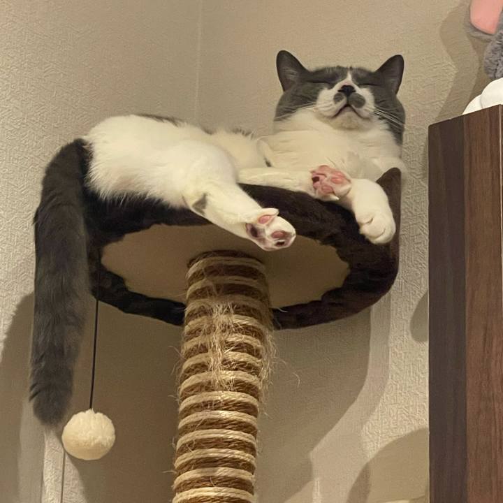 A4a9da99 3b68 4777 8a19 92b8f95b4682 1714910931698