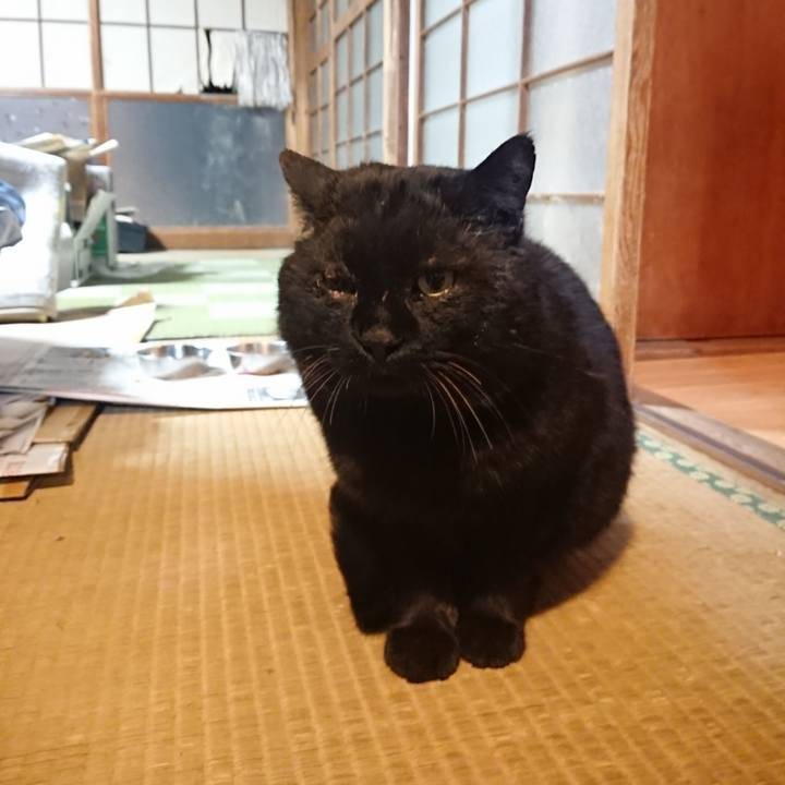 A4a9f3d4 ab3d 4369 aa8f 4078589416ed 1615282797320