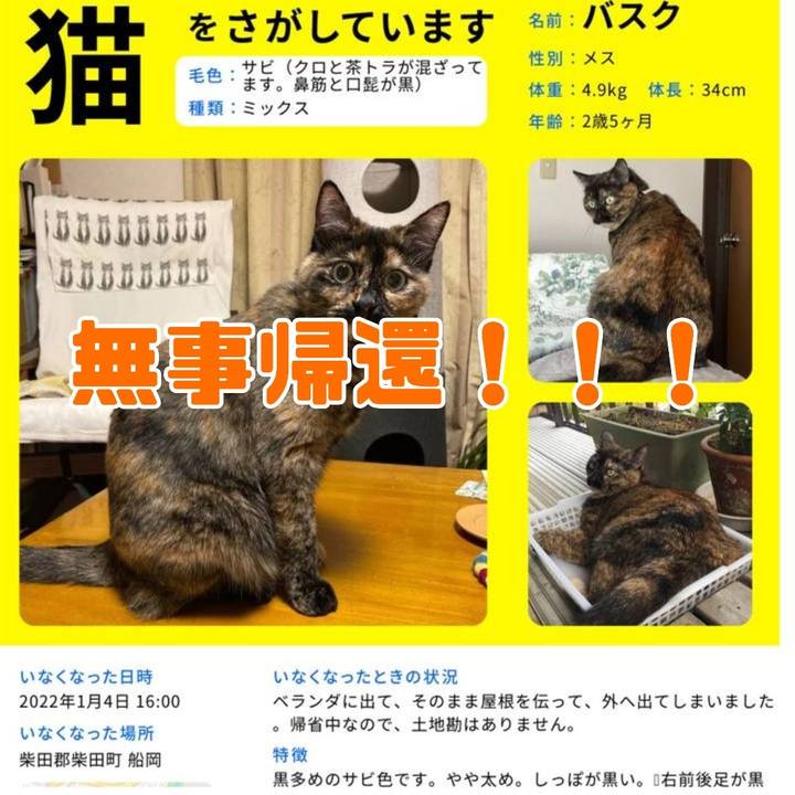 A4aa6cc1 8755 458e 9b79 1dce7437f550 1641555521860