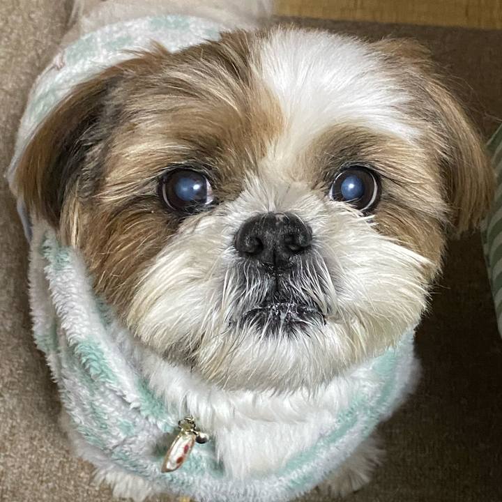 A4aaa190 f91d 4597 9998 e65473808bbd 1603019082869