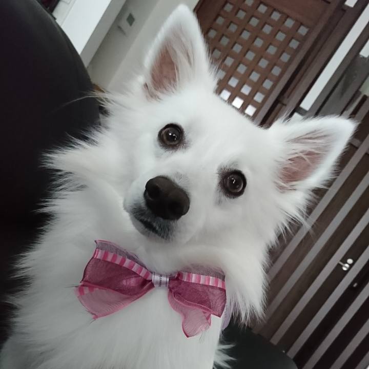 A4aaf320 9943 4fa5 a442 7b6bd76fd1b8 1524208951808