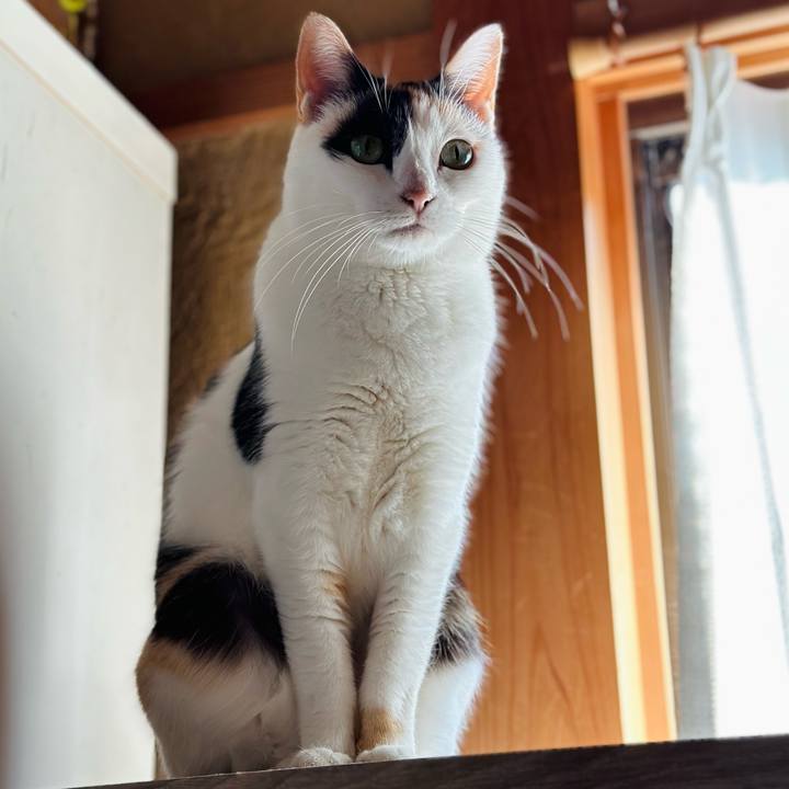 A4ab6391 eacb 466f b19a e182ff59e2e3 1702606156915