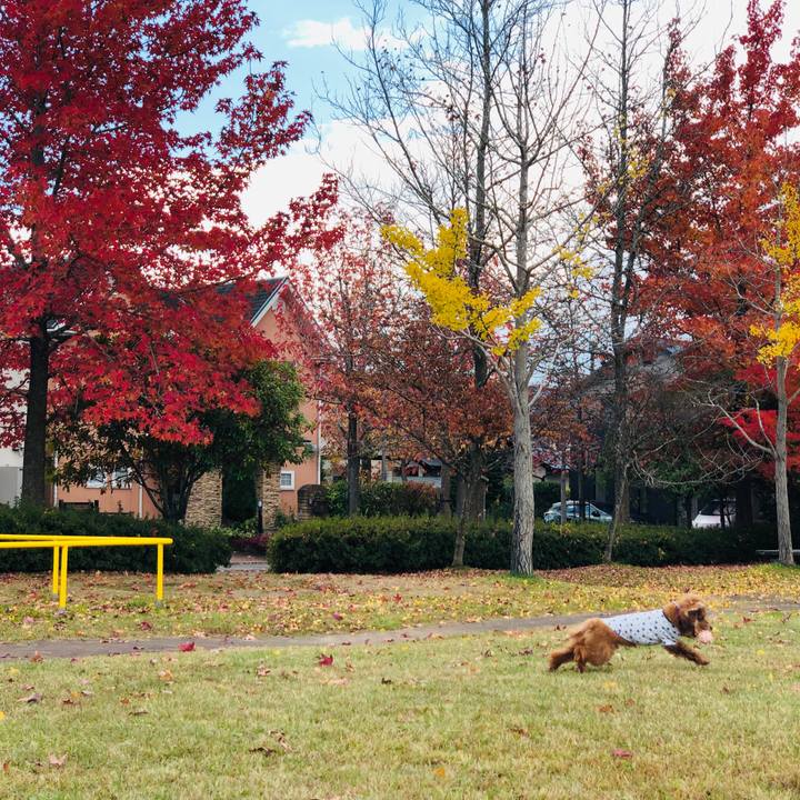 A4ab7d52 0ca1 4560 bd11 3fe1d1a56c47 1604752291610