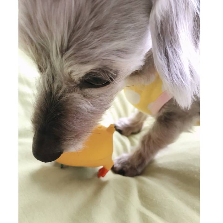 A4aba736 1b57 420e 9e05 3bdb7c60c340 1524814234021