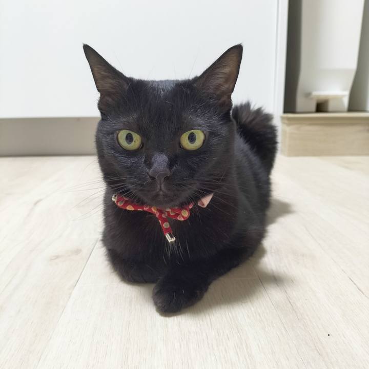 A4abab07 1668 42f4 bdc4 5d9464524301 1688988215673