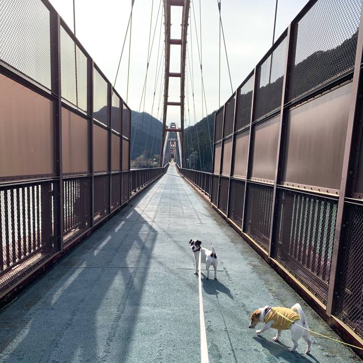 A4abc798 1cc8 4d90 9745 80c99026f048 1578726351958