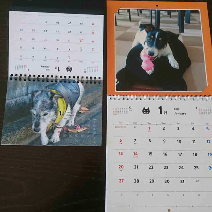 A4abde14 ae8b 4d7f 82ae 69649d4d0724 1546052176567