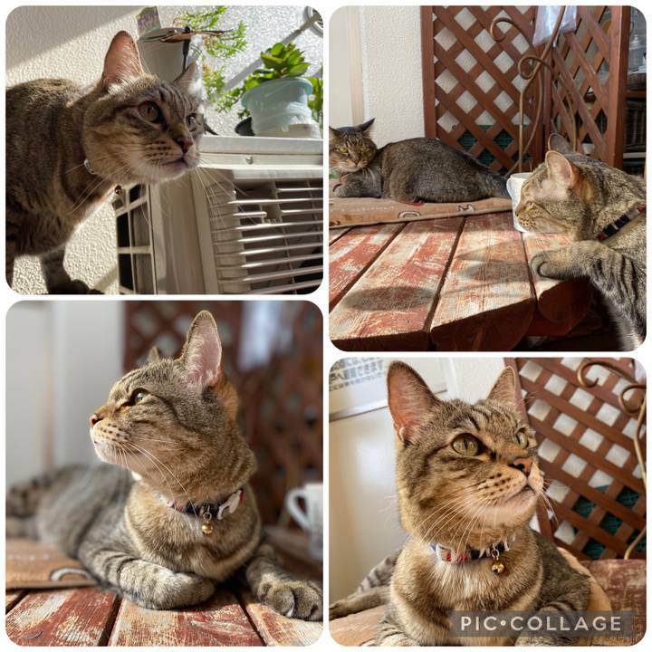 A4abf968 3650 44c2 a8e1 7228632c3edd 1667711369112