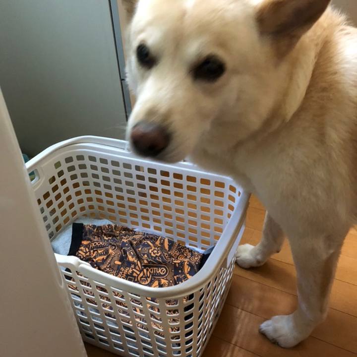 A4abffbe 34c8 4b8b 84c0 a4c888204b4b 1558520742692