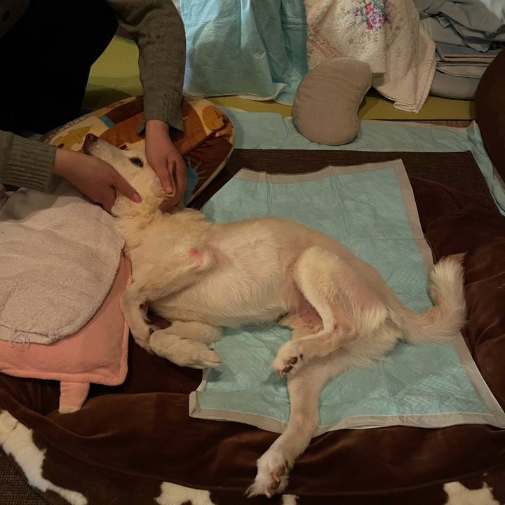 A4ac226f f0ec 45fa abda 5d11b3d683a9 1675256562719