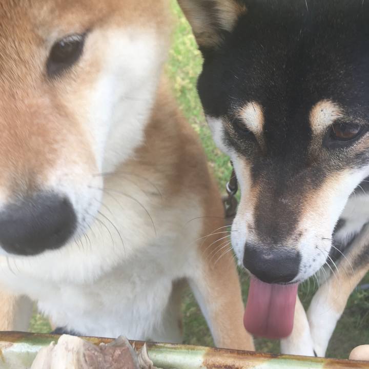 A4acbeef 8e9e 4497 821f 0ea4777e73a4 1557890416099