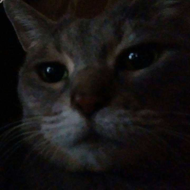 A4acce9e f4f0 44aa 8f2d b9d65b21a77f 1587168679761