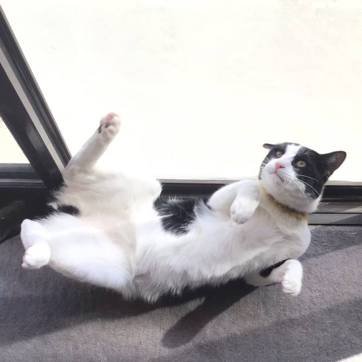 A4ad0b41 528b 45a6 b35e 52ed103104ee 1649147294314