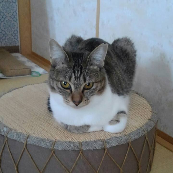 A4ad2558 6e89 4ef8 9e01 dbda126c3305 1542263359793
