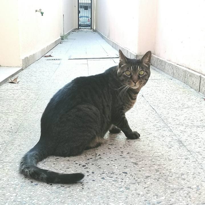 A4ad35a2 ada8 41ba 8b04 0ea9dbf75be1 1655690724993