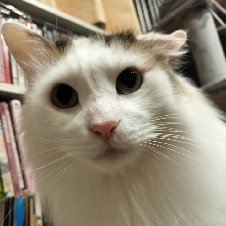 A4ad37db a2ed 47cd 9d51 2db6b2ec62d8 1768394175469