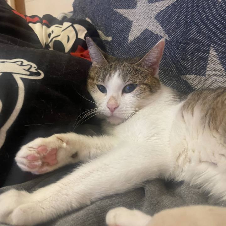 A4ad43e3 f8f0 4141 8463 0e7754116ab0 1631963562310