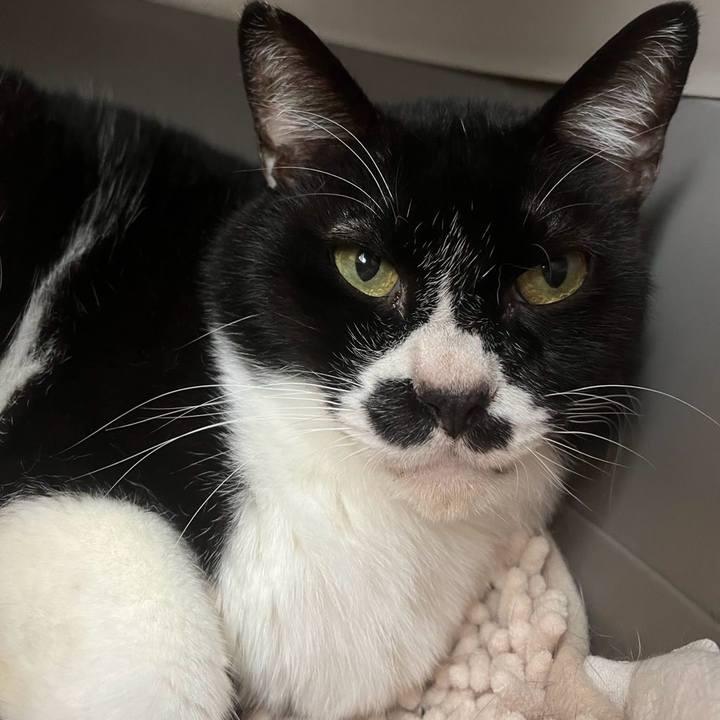 A4ad7339 da86 493c b56e d0c138e12668 1715642971034