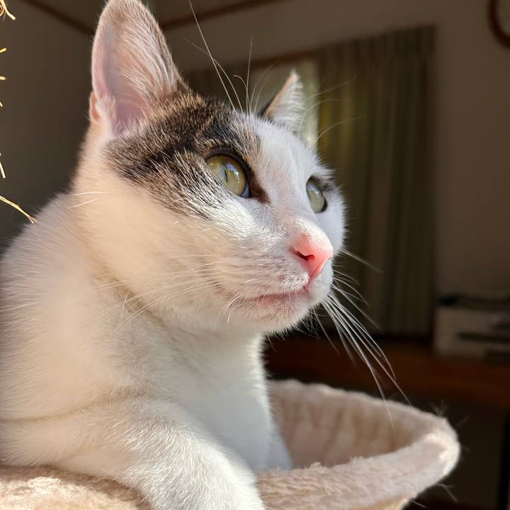 A4ad76da e64e 4293 bf10 1abdaddc7003 1734926303130