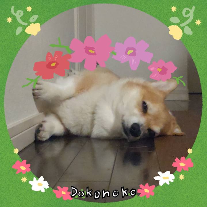 A4adbe82 2d8e 45d3 b691 455898fc7b99 1727017555905