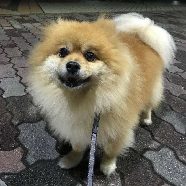 A4ade3b6 4796 4e6b 844b 5a55b09071d2 1508244051956