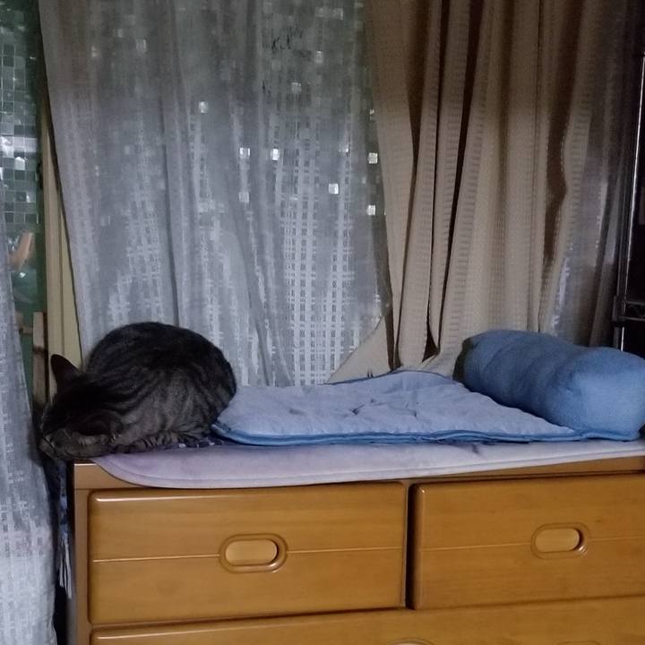 A4adf1be 674e 40ab a575 462916d8cfaa 1689207510619