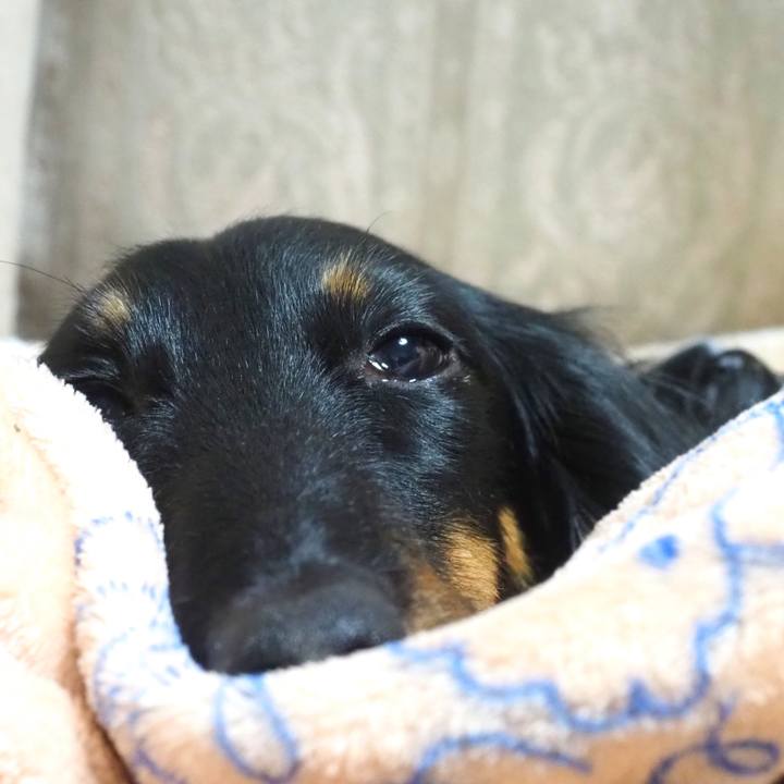 A4ae1baa 9492 4703 a96b db599a0dcb8c 1641124627885