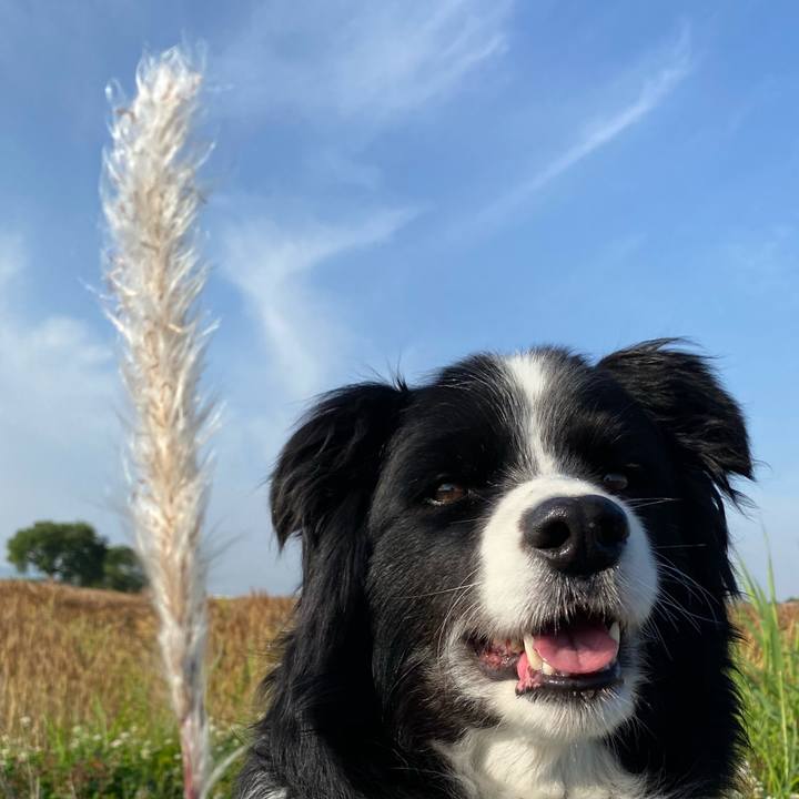 A4ae28e8 d4a3 446d 9aed 91c3bbf3a276 1590190041207