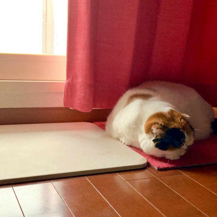 A4ae5ac7 3b0e 4c0d 9605 07e4aa948a04 1565387808729