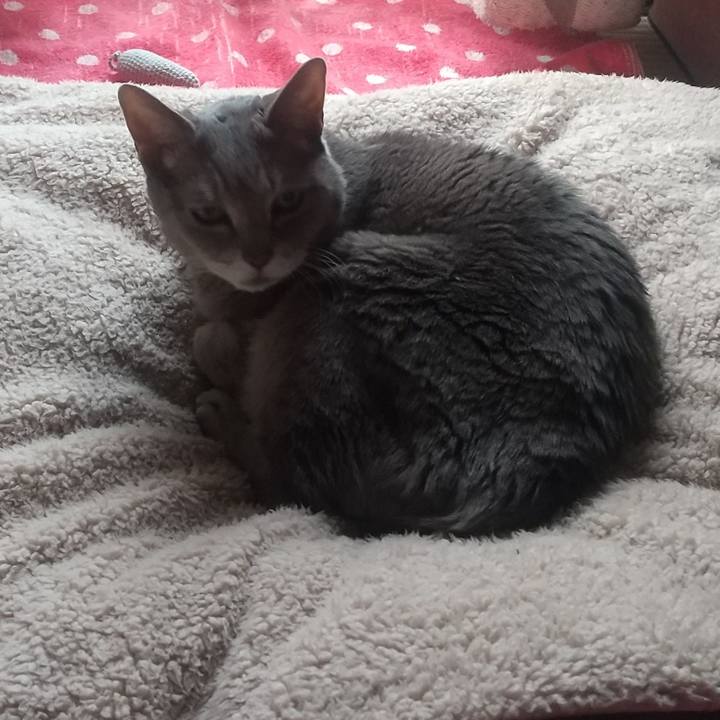 A4ae5d1b f174 4b44 aede 16b6df315b77 1679889103460