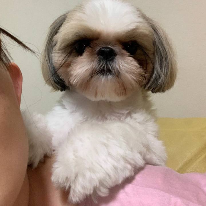 A4ae679d 5f93 46aa b3b1 28cce6121418 1593514860325