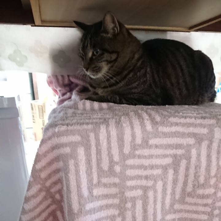 A4aec389 7d85 4cc6 b216 569d26747741 1639969544483