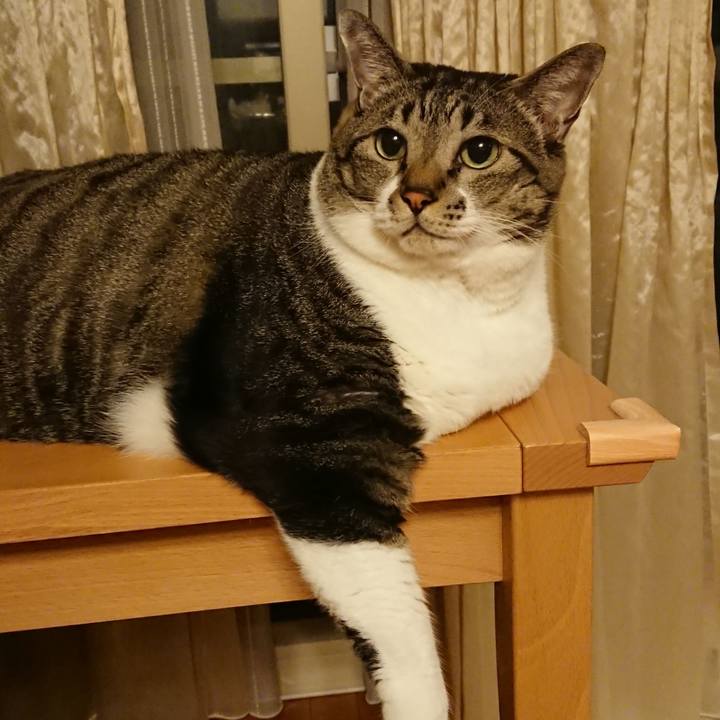 A4aed89d e524 48fc 88bf f8bc2e5d8725 1554469548042