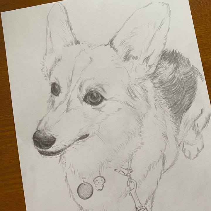 A4af0432 363d 4f72 b5a3 8b1d35067b94 1598532627851