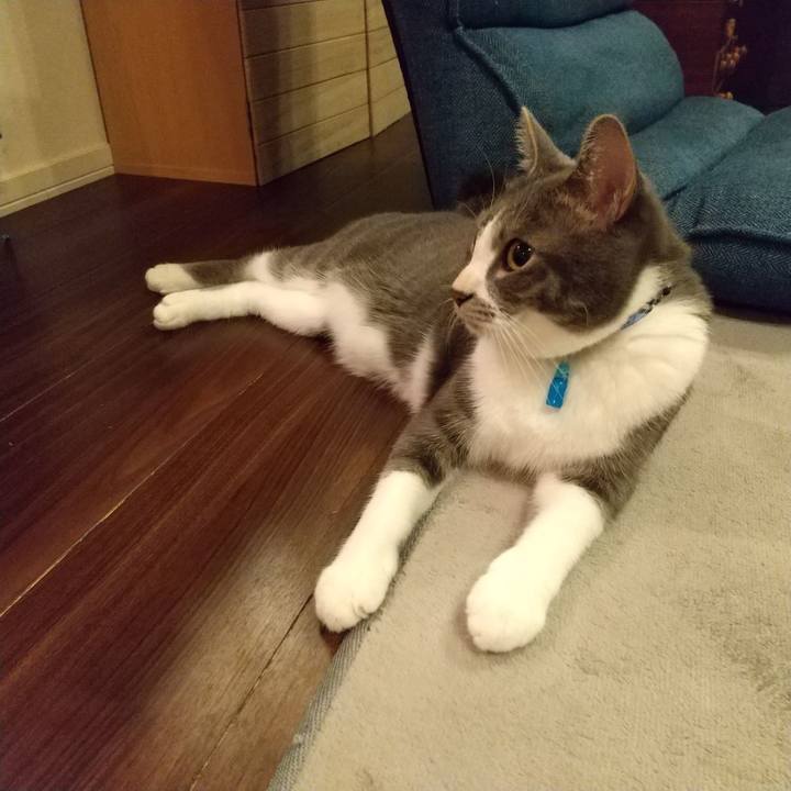 A4af18e1 41c0 443b a9de 3ba5a210492a 1603290305751