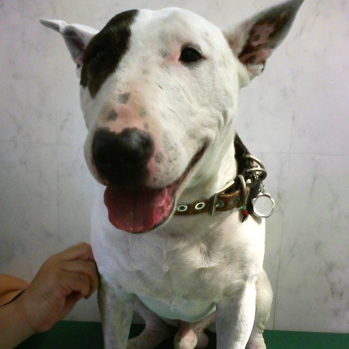 A4af2d6a be02 4f8c b240 c4401ff23649 1530461734997