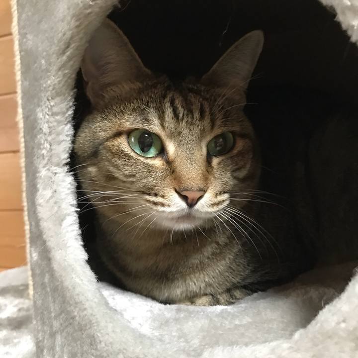 A4af3fd4 df76 48c6 9ad4 c34acbac599b 1524300523737