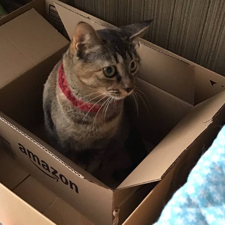 A4afa669 fa00 4e4e bef1 bbb65e30d1b0 1601364734909