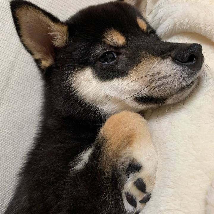 A4b02866 e53a 4333 86d9 1c73679c77cd 1560730928108