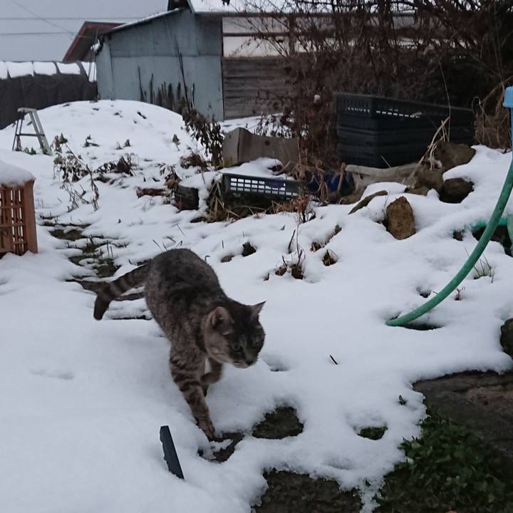 A4b0ccca eacc 429c 88a1 401ac12e4cf7 1577518811641