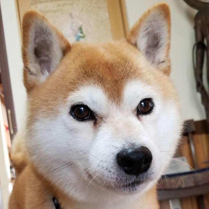 A4b109d8 9895 4d28 af95 d5b909a74f8b 1579855092030