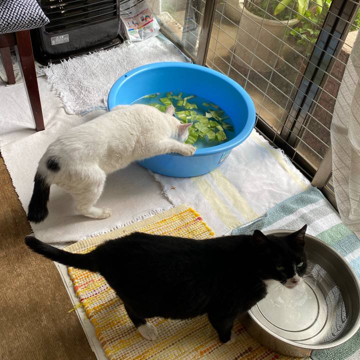 A4b127e8 3661 4e7c bc3a 024fb905056a 1692098791618