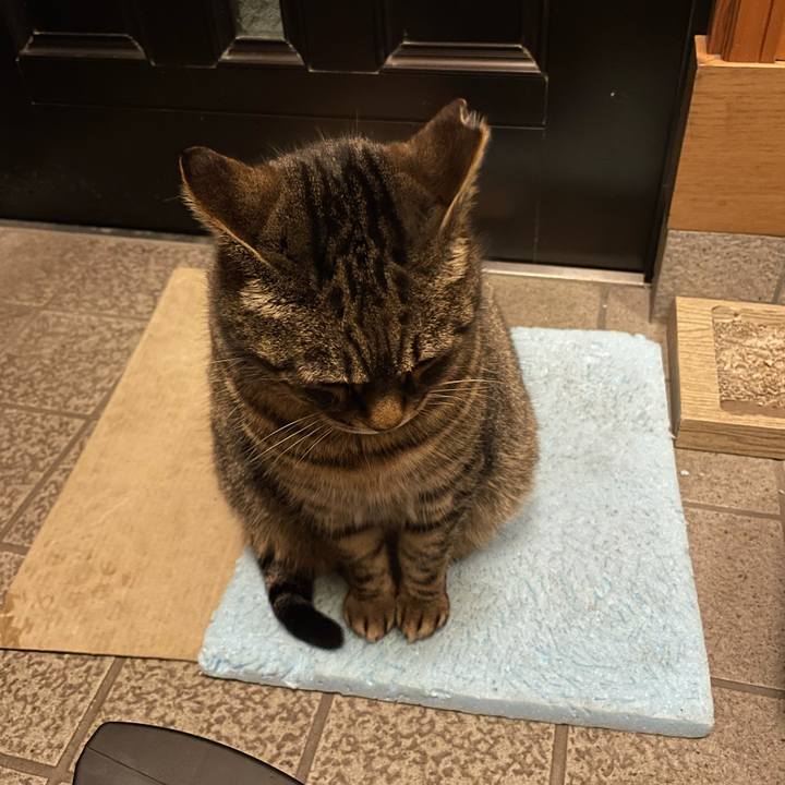 A4b137d0 ec97 44b6 88ac f1d60138ff36 1610449418481