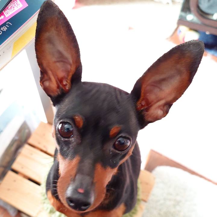 A4b14c1b 45af 4616 9299 e92063b1ea09 1773541407819