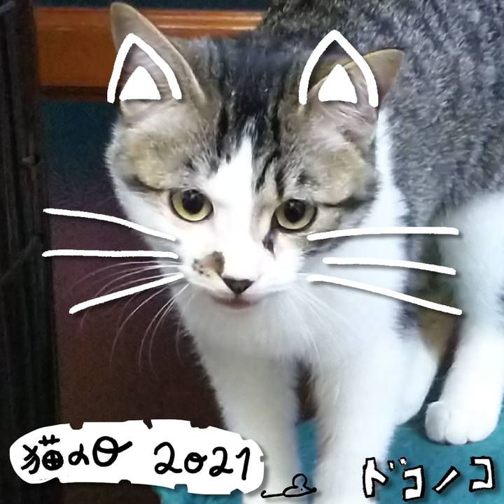 A4b16168 502c 4468 88a6 da807f8b6853 1613993851801