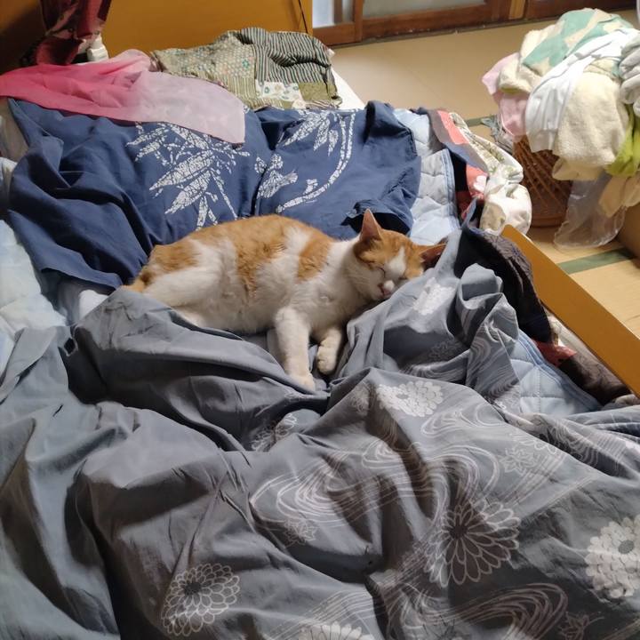 A4b18553 ea55 46ac 92c8 e500cfdd5491 1749165773063