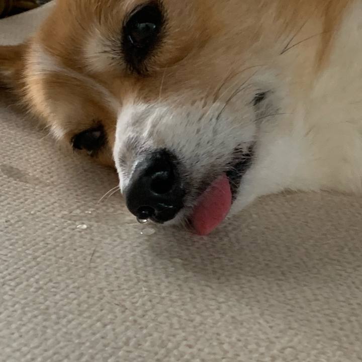 A4b19800 a1b0 406e a5cf caaa504faf08 1689501286633