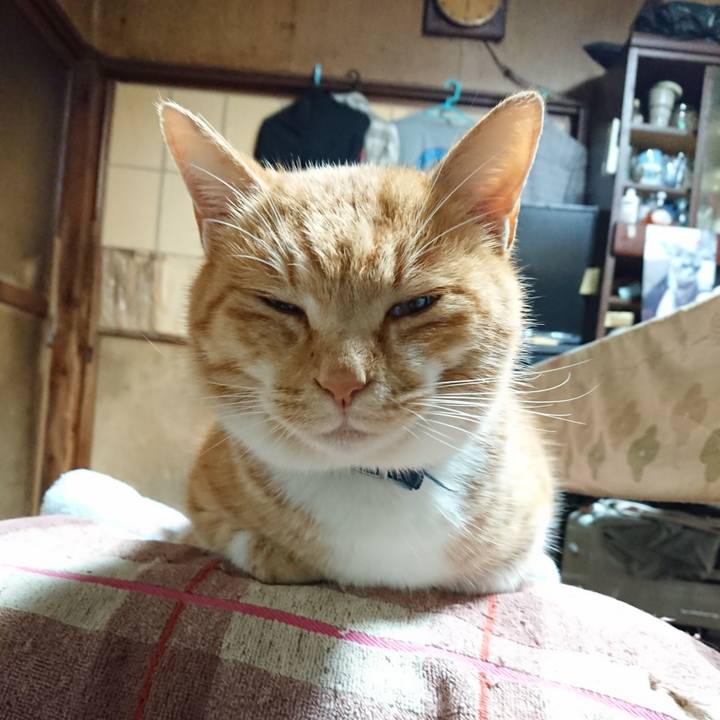 A4b1a33b 9709 411d 9606 f335be86ac35 1607375093321