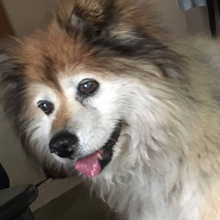 A4b1bc15 7a71 4226 be01 0c36458a7753 1607081737853