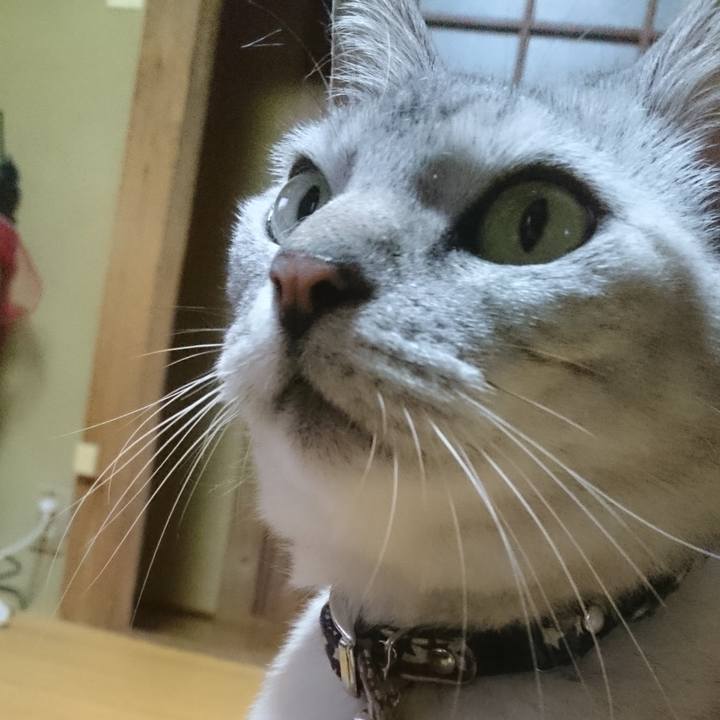 A4b1bec2 9c60 4b72 861b 535750e3ece8 1577772313425